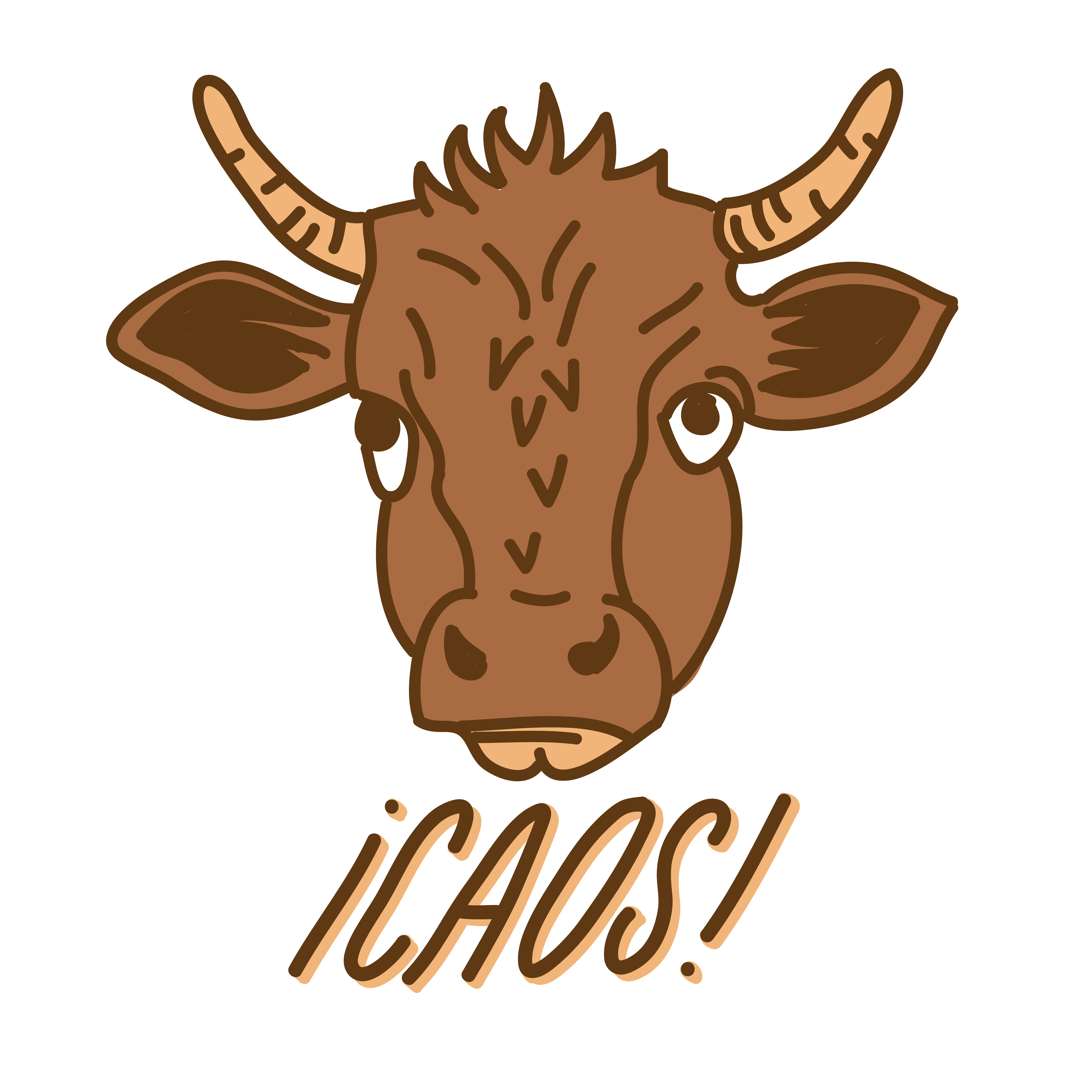 illustrated caos